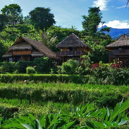 Rinjani Mountain Garden Hotel Bayan Exterior photo