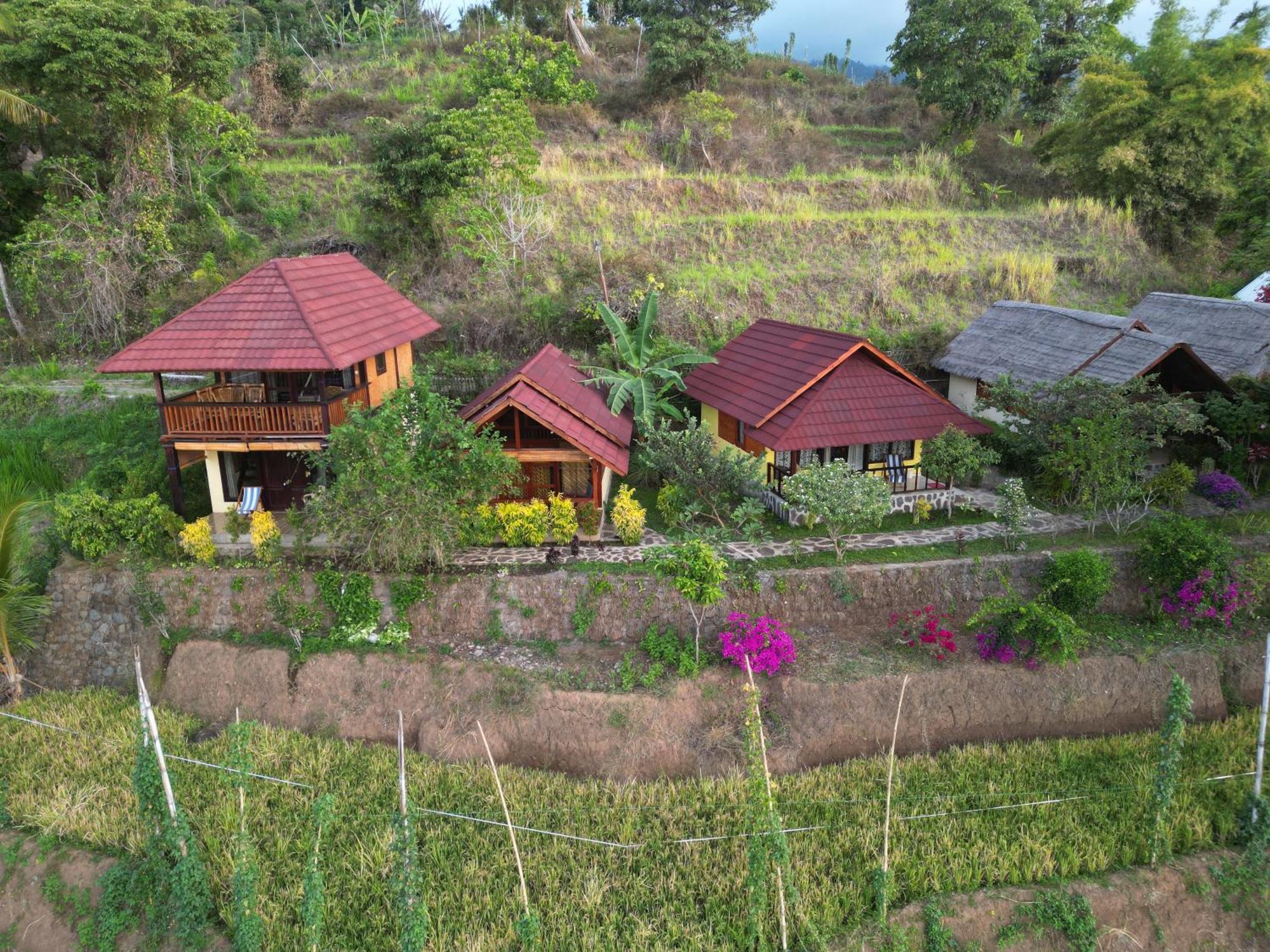 Rinjani Mountain Garden Hotel Bayan Exterior photo