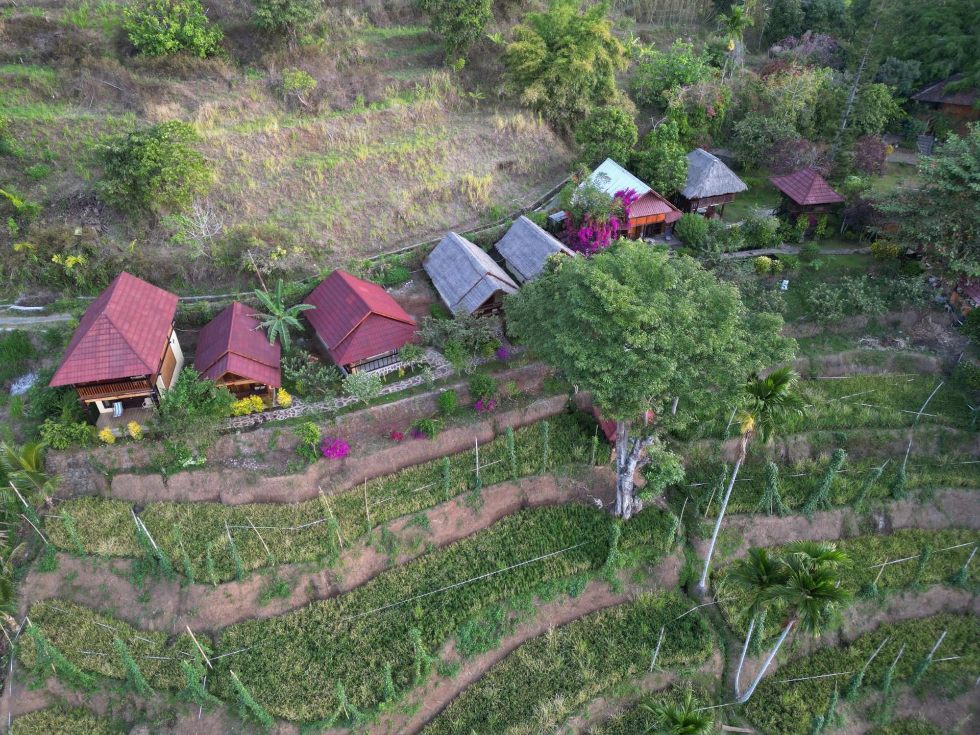 Rinjani Mountain Garden Hotel Bayan Exterior photo