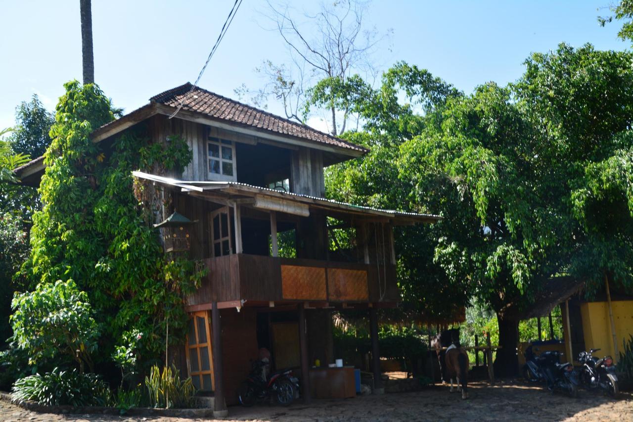 Rinjani Mountain Garden Hotel Bayan Exterior photo