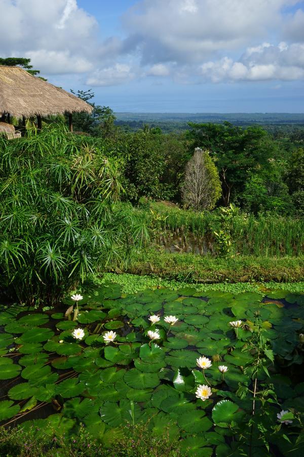Rinjani Mountain Garden Hotel Bayan Exterior photo