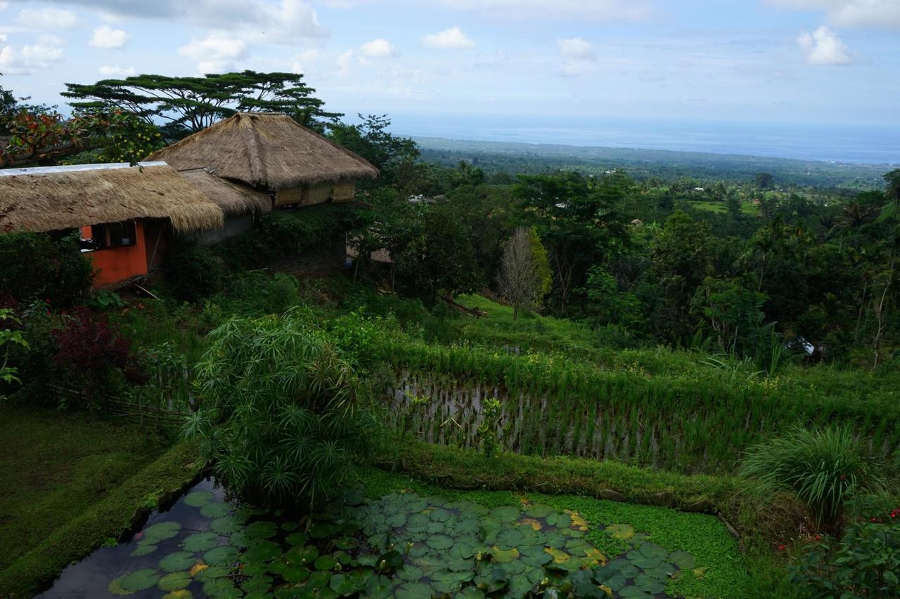 Rinjani Mountain Garden Hotel Bayan Exterior photo
