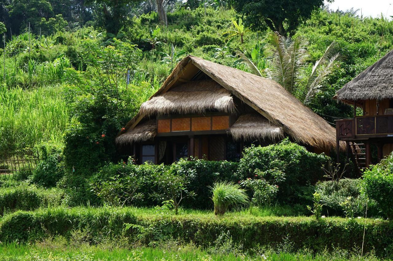 Rinjani Mountain Garden Hotel Bayan Exterior photo