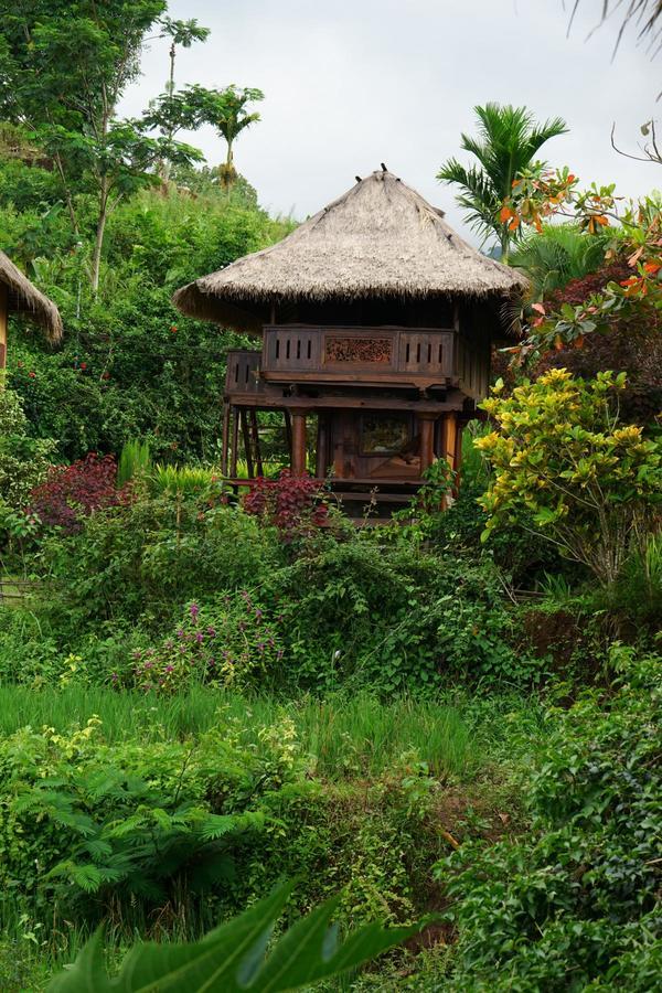 Rinjani Mountain Garden Hotel Bayan Exterior photo