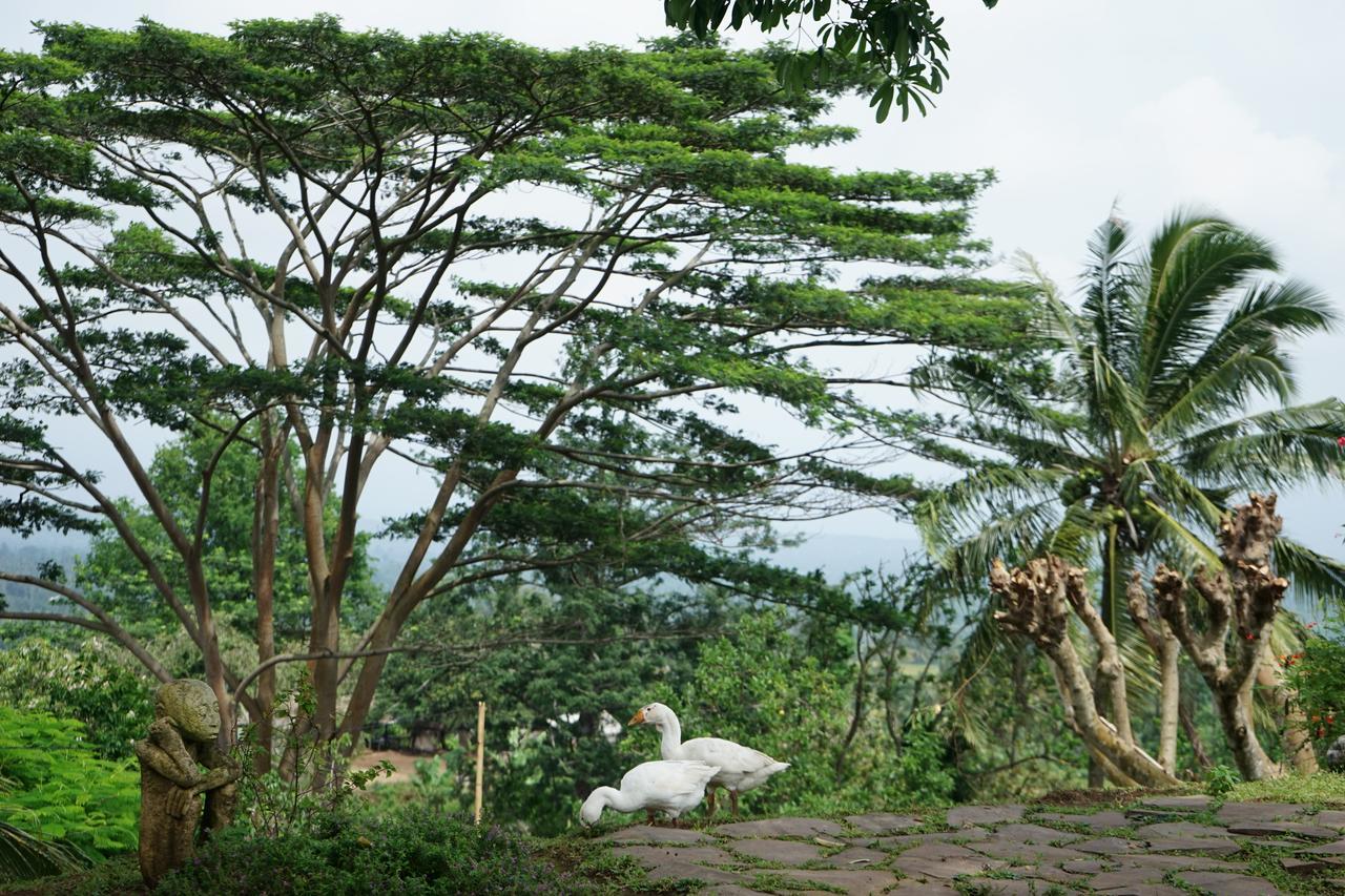 Rinjani Mountain Garden Hotel Bayan Exterior photo