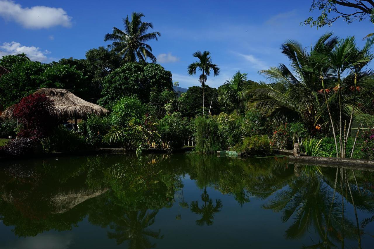 Rinjani Mountain Garden Hotel Bayan Exterior photo