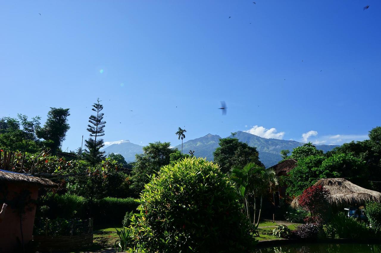 Rinjani Mountain Garden Hotel Bayan Exterior photo